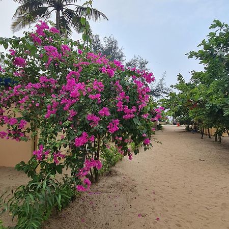 Love Temple Beach Resort Arambol Ngoại thất bức ảnh
