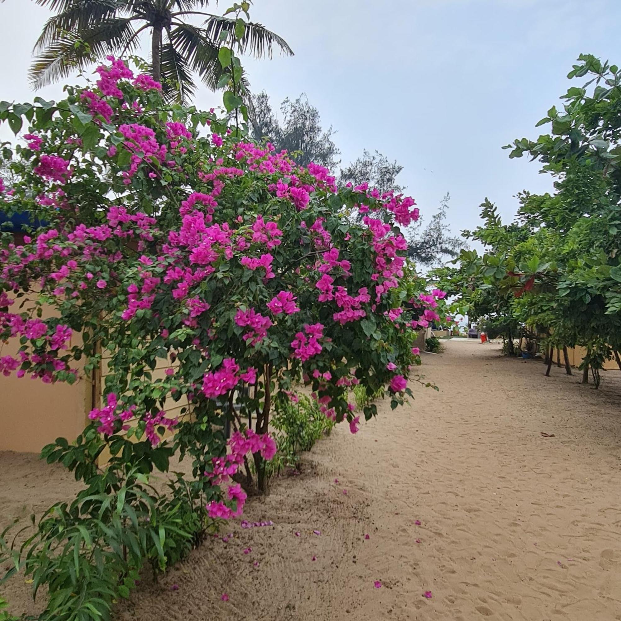 Love Temple Beach Resort Arambol Ngoại thất bức ảnh